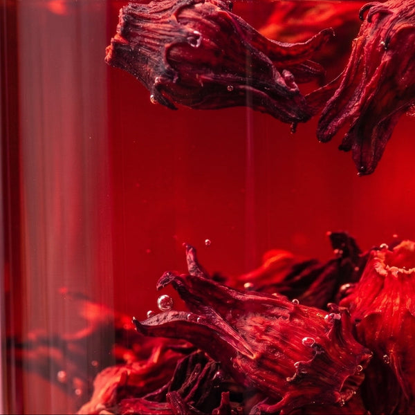 Hibiscus flower tea