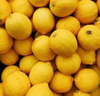 Lemons are not for making pie, but for consuming raw! ☀️ #sun365 #fresh #raw #vegan #juice #drinkthesun
